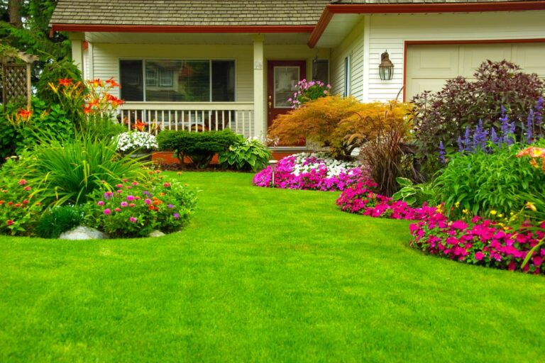 Best Fertilizer for Dark Green Grass and Lawn (2023)